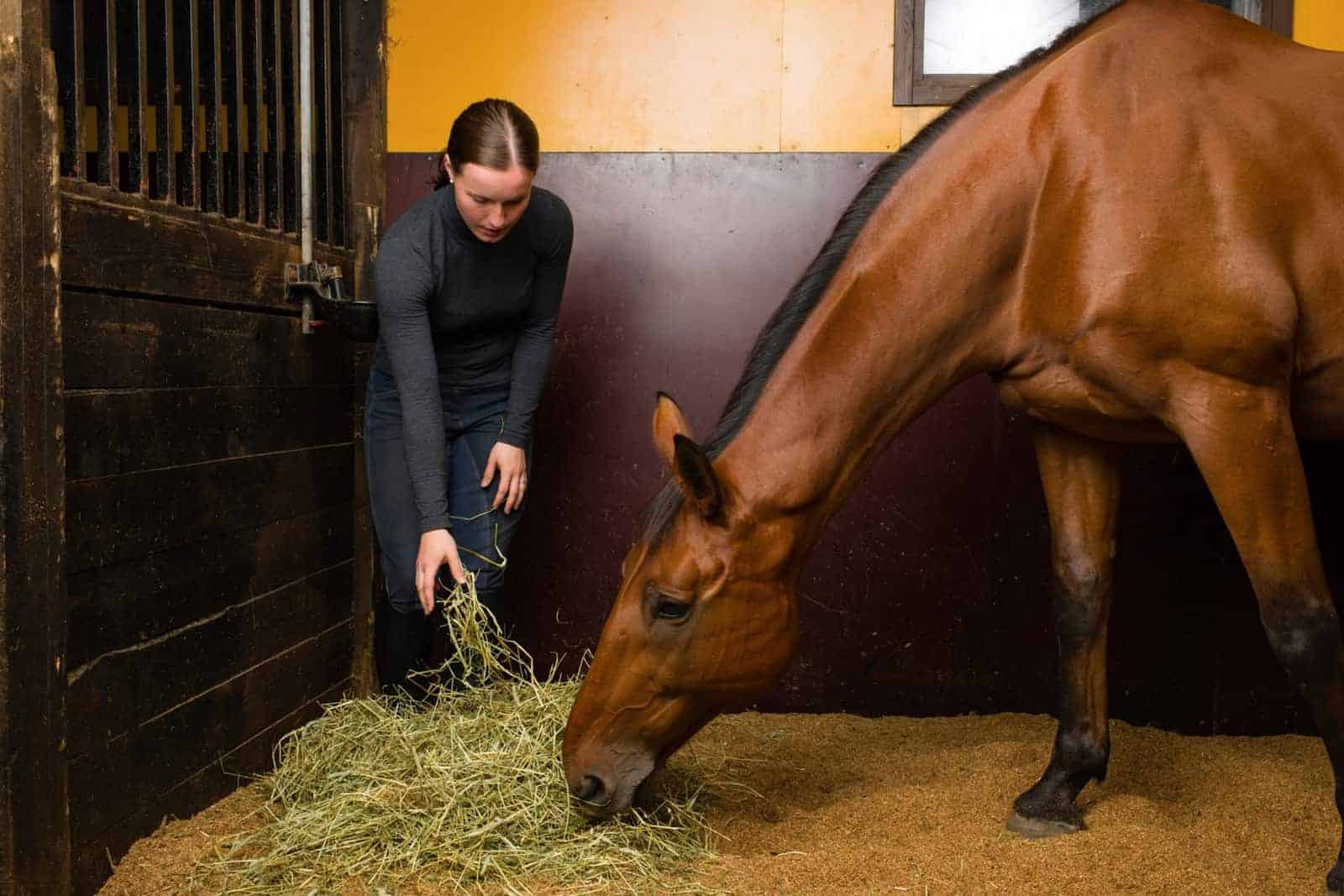 Innovation in Ernährung und Tiergesundheit