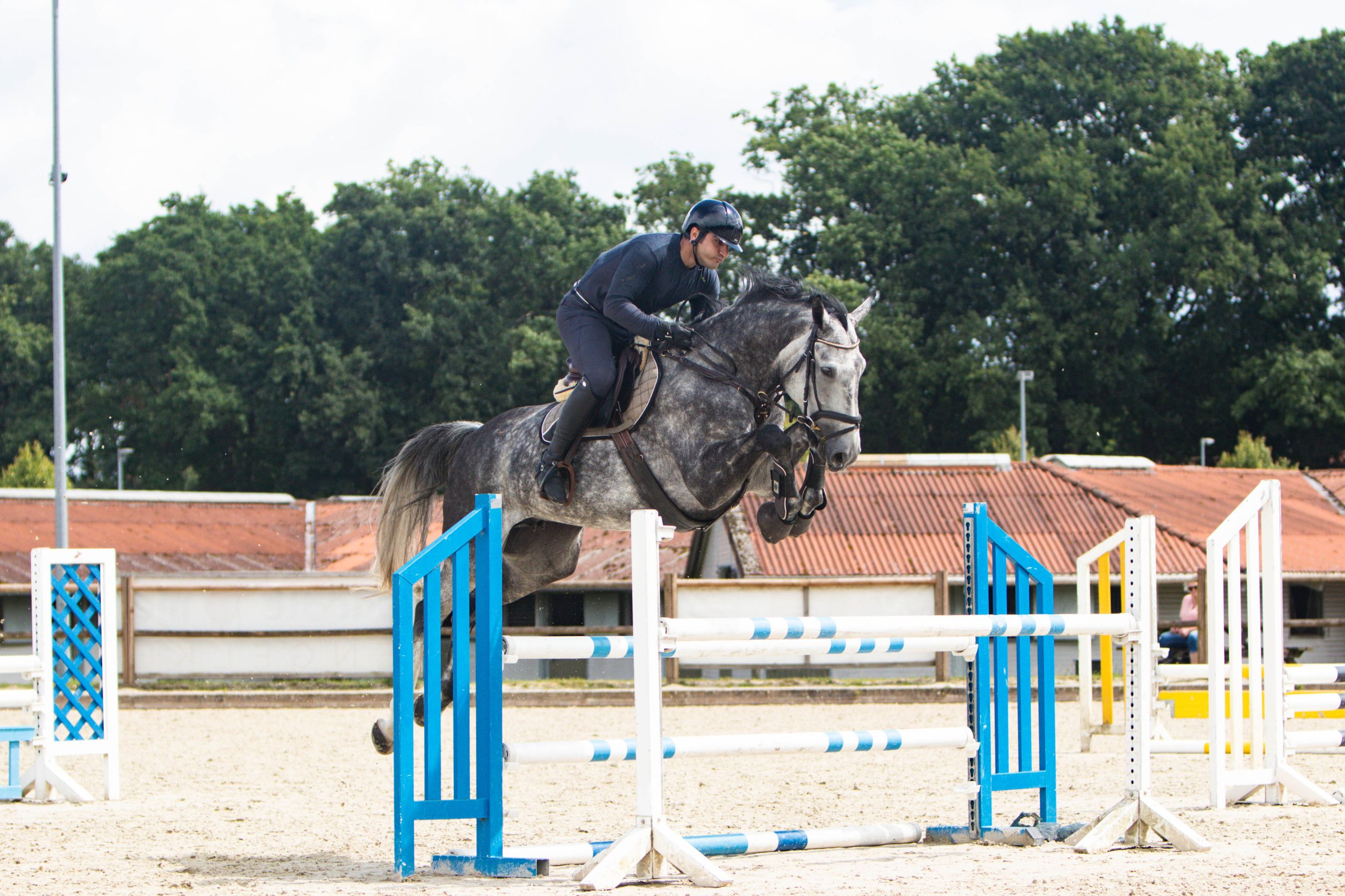ORVELIS Equine