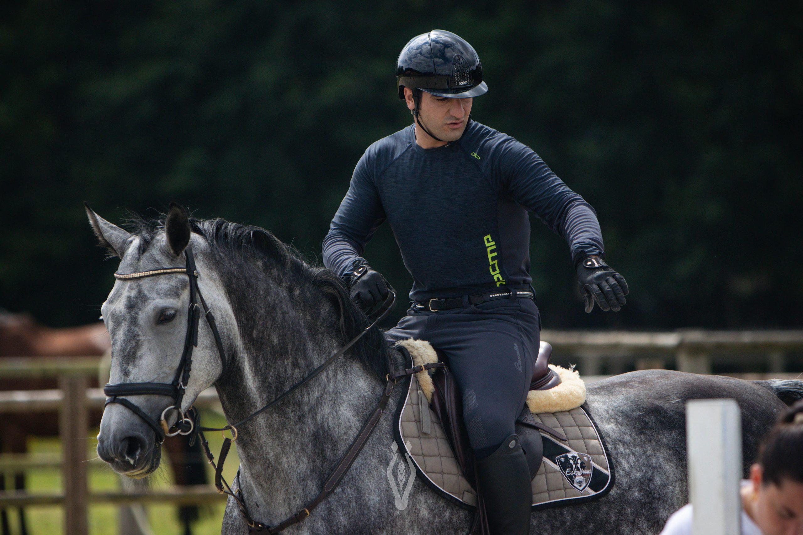 ORVELIS Equine
